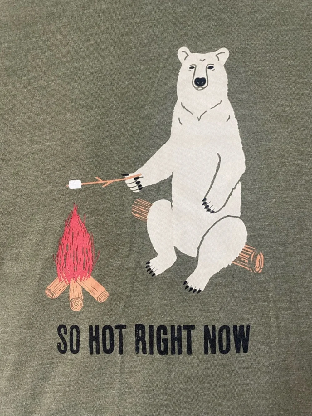 The North Face "So Hot Right Now" Polar Bear Woman’s Graphic Tee Size Medium - Picture 3 of 8